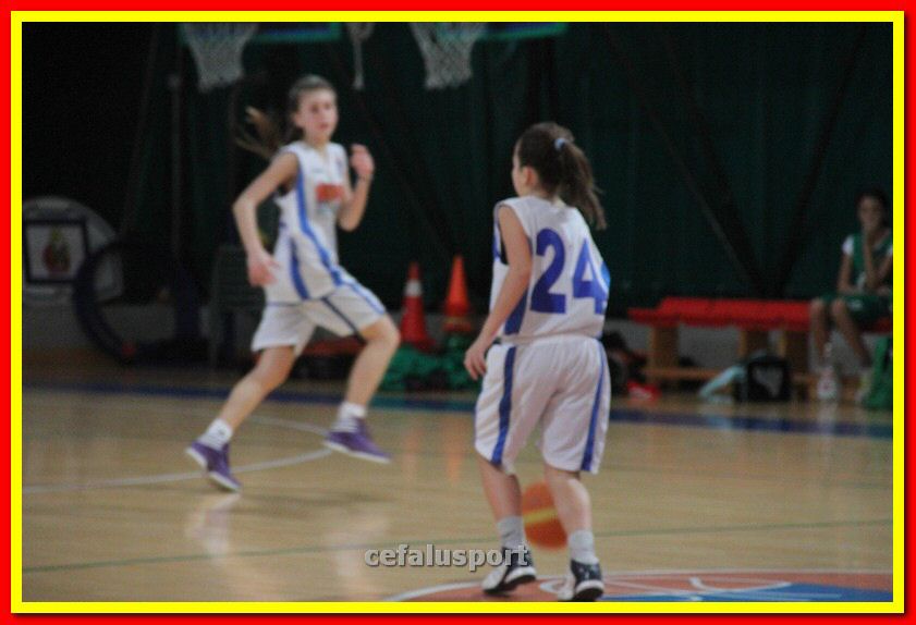 140301 GM_basket 250_tn.jpg